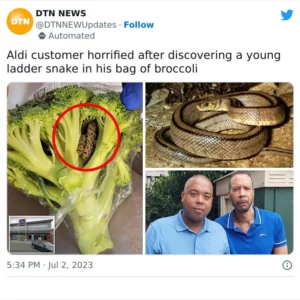 “Shocking Encounter, Man’s Horrifying Discovery Inside Bag Of Aldi-bought Broccoli”